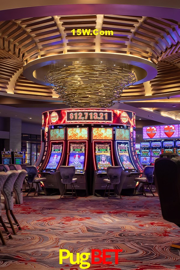 Experiência VIP Pugbet